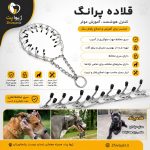 قلاده پرانگ | آموزشی برای سگ