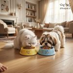 ظرف غذای سرامیکی سگ و گربه مدل فریزبی
