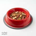 ظرف غذای فلزی حیوانات