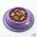 ظرف غذای فلزی حیوانات - Image 3