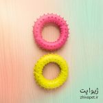 دندانی حلقه خاردار