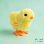 اسباب بازی جوجه کوکی